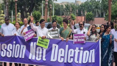 Bihar SIR War Erupts on Delhi Streets, Rahul and Priyanka Gandhi Detained During March to EC
