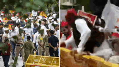 Bihar SIR War Erupts on Delhi Streets, Rahul and Priyanka Gandhi Detained During March to EC Bihar SIR War Erupts on Delhi Streets, Rahul and Priyanka Gandhi Detained During March to EC