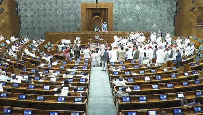Govt to MPs: US call on penalties based on flawed assumptions