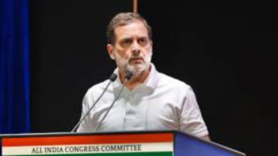 Rahul Gandhi Doubles Down On 'Vote Chori' Allegations, Oppn MPs Protest In Parliament Over Bihar SIR