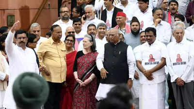 Opposition's '124 Not Out' poster girl is 35, blames EC for fault
