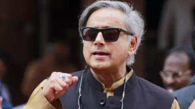 'Flaw in our system': Shashi Tharoor weighs in on SC dog relocation order; urges redirection of funds to NGOs