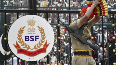 Operation Sindoor: 2 BSF personnel awarded Vir Chakra posthumously; 16 others to get gallantry medal