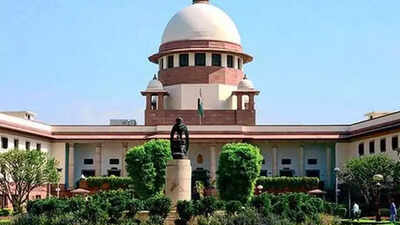 SC's interference in Prez-guv powers will destabilise power balance: Govt
