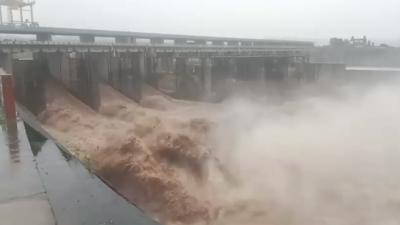 Hathnikund barrage releases over 1.78 lakh cusecs of water Yamuna in spate: Hathnikund barrage releases over 1.78 lakh cusecs of water, Delhi on flood alert