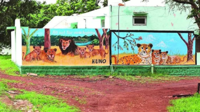 Rumble in the jungle Gujarat's pride to remain MP's envy? Plan to bring lions to Kuno likely shelved