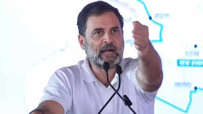 'Did the same with Gandhiji': Rahul Gandhi slams RSS for personal attacks; flags concern over 'vote theft'
