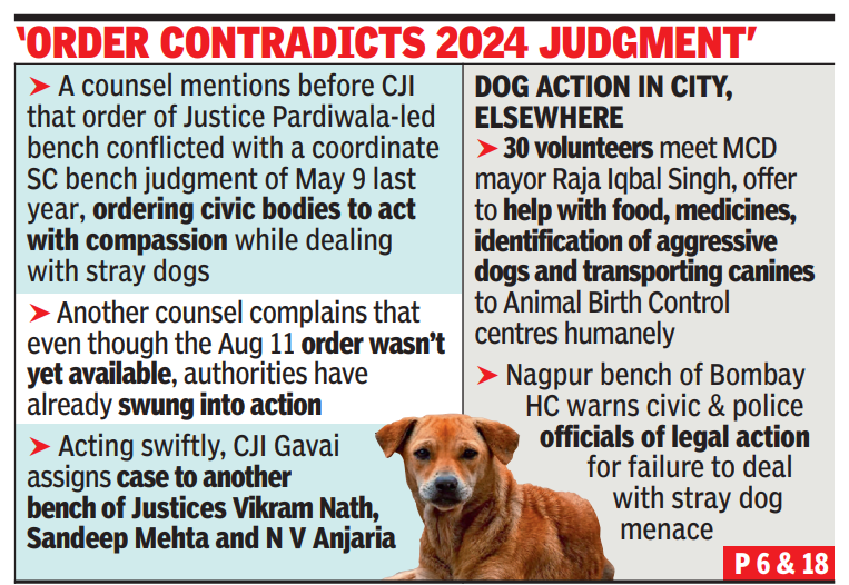 Order contradicts 2024 judgement