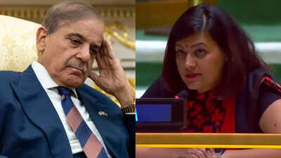 'Absurd Theatrics': India Torches Pakistan At UNGA. Calls Out Shehbaz Sharif's Lies And Terror Ties