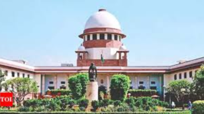 Only we decide on SIR, not even SC: Poll panel affidavit