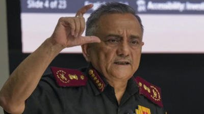 File photo 'Would've slowed China': CDS questions 'no use of air power in 1962 war; draws Operation Sindoor parallel