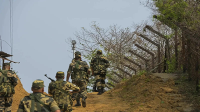 BSF sends back mentally unstable intruder to Pakistan