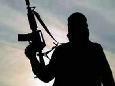 'Contact with terrorists': Encounter breaks out on Doda-Udhampur border in J&K; soldier injured