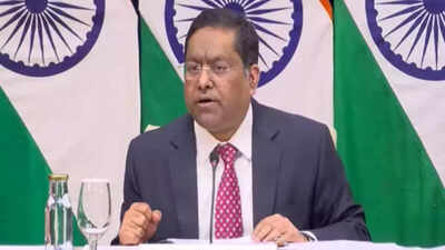 'India supports early end of conflict': MEA backs fresh peace push on Ukraine, urges constructive dialogue