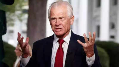 'They all hate each other': Trump's aide Navarro's latest attack on India, China; 'vampire' dig at Brics