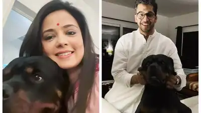 The Delhi HC on Wednesday remarked about the ongoing custody battle between Mahua Moitra and Jai Anant Dehadrai over pet dog Henry. Mahua Moitra vs Jai Dehadrai over pet Henry: Why don't you sit together and sort it out, asks Delhi HC
