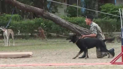 'Rampur Hound, Mudhol Hound': BSF deploying Indian dog breeds on borders; inspired by PM Modi's 'Mann Ki Baat'