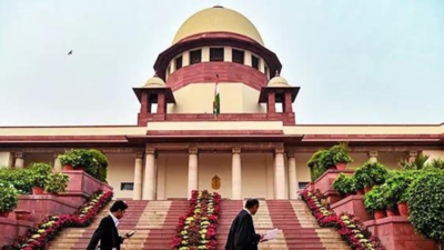 Supreme Court No data to contrary, lower age of consent, says amicus