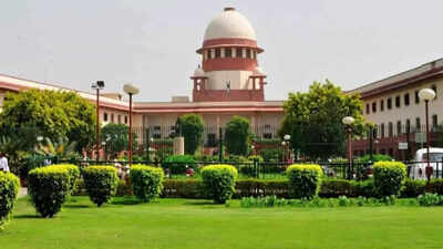 'Not applicable for couple who ... ': SC on age criteria for surrogacy; what the law states