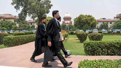 SC: There's no age bar for having kids or adoption, then why for surrogacy?