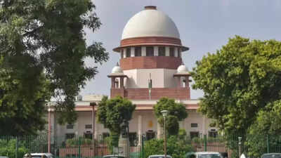 . ‘Trans rights reduced to dead letters’: SC, appoints panel to frame job, education policy
