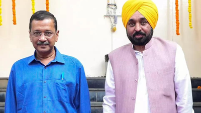Punjab launches faceless services related to driving licences, vehicle-registration certificates
