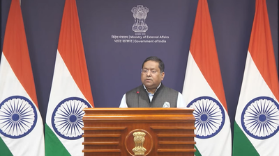 'Some Indian companies': China OKs supply of rare earth magnets to India; what MEA said