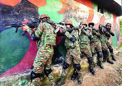 Soldier hurt during terrorist hunt to get war injury status: Punjab & Haryana HC
