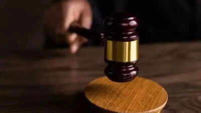 Petitioners pick SIR over EC, SC to hear on November 11
