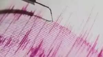 Earthquake jolts Andaman and Nicobar Islands: 5.4 magnitude tremor hits Andaman Sea