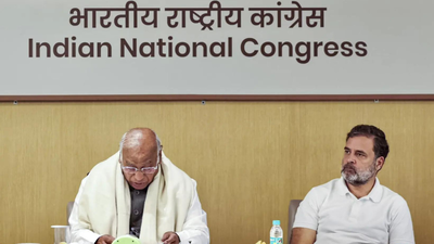 ‘Politically, organisationally, legally’: Congress ‘must fight’ SIR, says Rahul Gandhi; alleges flaws in implementation