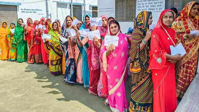 Bihar polls: Phase 1 sees 'historic' 64.66% voter turnout, Muzaffarpur top list; deputy CM's convoy attacked - key points