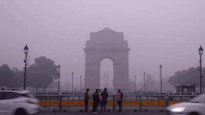 Desolation of smog: Parts of Delhi enter 'severe' AQI zone