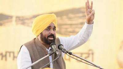 Punjab CM Mann bats for strategic tie up with Japan