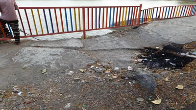 Canal near Kartavya Path green with algae, pavements broken