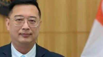 'Couldn’t attend staff member’s wedding': Singapore high commissioner’s flight cancelled; caught in IndiGo chaos