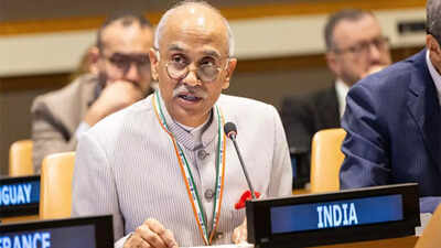 Watch: India says J&K, Ladakh integral parts; rebukes 'obsessive focus' of Pakistan at UNSC
