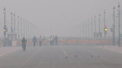No conclusive data linking higher AQI to lung diseases, govt tells Parliament while admitting it as triggering factors for respiratory ailments