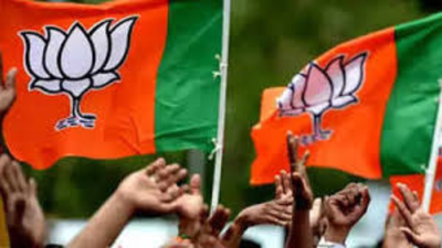 6 BJP aspirants from same Loha family lose polls