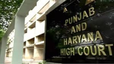 Passport deposit as bail clause needs proof of flight risk: High court