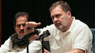 Rahul permanent spokesperson of anti-India global forces: BJP