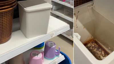 Viral video showing gutka-stains in dustbin (Images/Instagram@devotedindian) Watch: Video goes viral of gutka-stained dustbin on sale in Kanpur store; netizens point at lack of civic sense