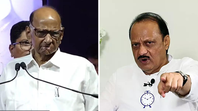 Pawar family feud: From bitter split to Mumbai civic poll pact — how it began, what followed