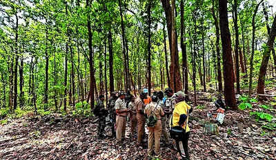 After 10-yr chase, wildlife sleuths nab the ‘ghost’