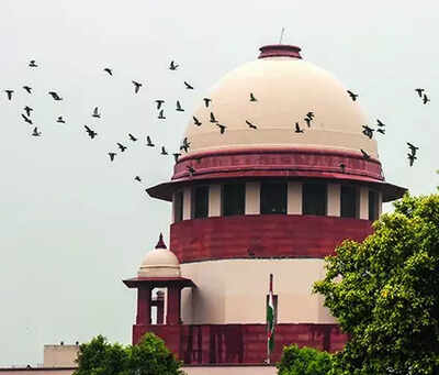Can't hear out holders before declaring a/cs fraud: RBI, SBI