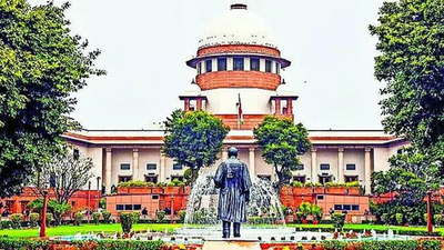 Human cases don't get so many appeals: SC on stray dogs row; matter slated to come up for hearing today