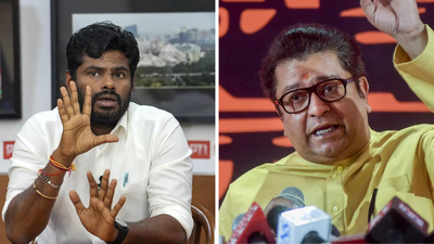'Will come to Mumbai, try cutting my legs': BJP’s Annamalai fires back at Raj Thackeray; slams ‘rasmalai’ jibe