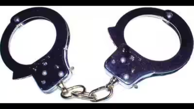 2 held for killing ex-law officer's wife in Punjab, cops say help planned it