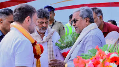 Troubleshooter Rahul? Siddaramaiah, Shivakumar meet Cong leader; Karnataka power struggle continues