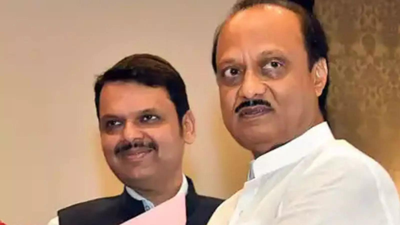 'People haven't rejected Ajit dada, rather ... ': Fadnavis on Pune win; hails leadership of PM Modi